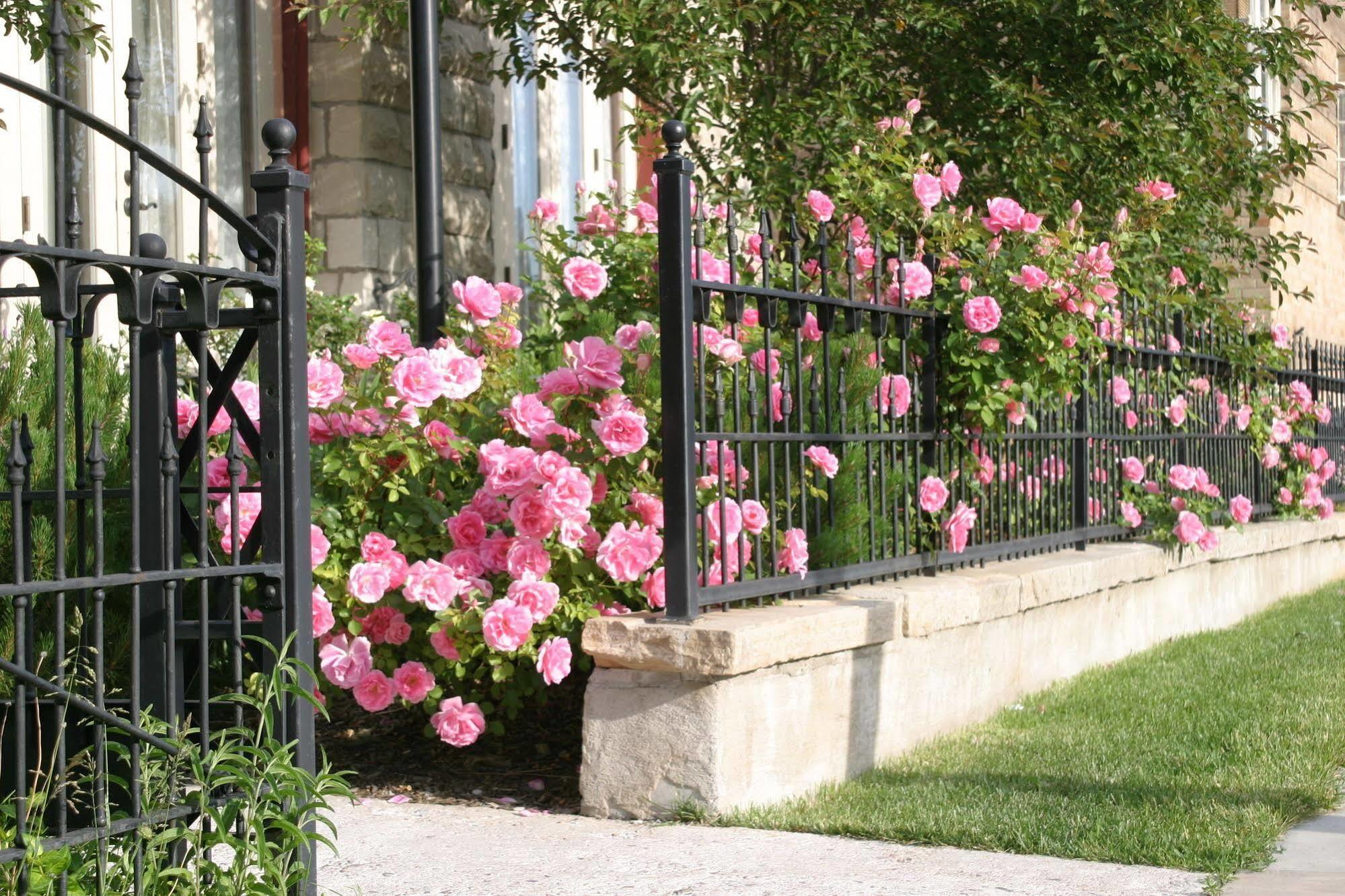 Nagle Warren Mansion B&B Cheyenne Dış mekan fotoğraf
